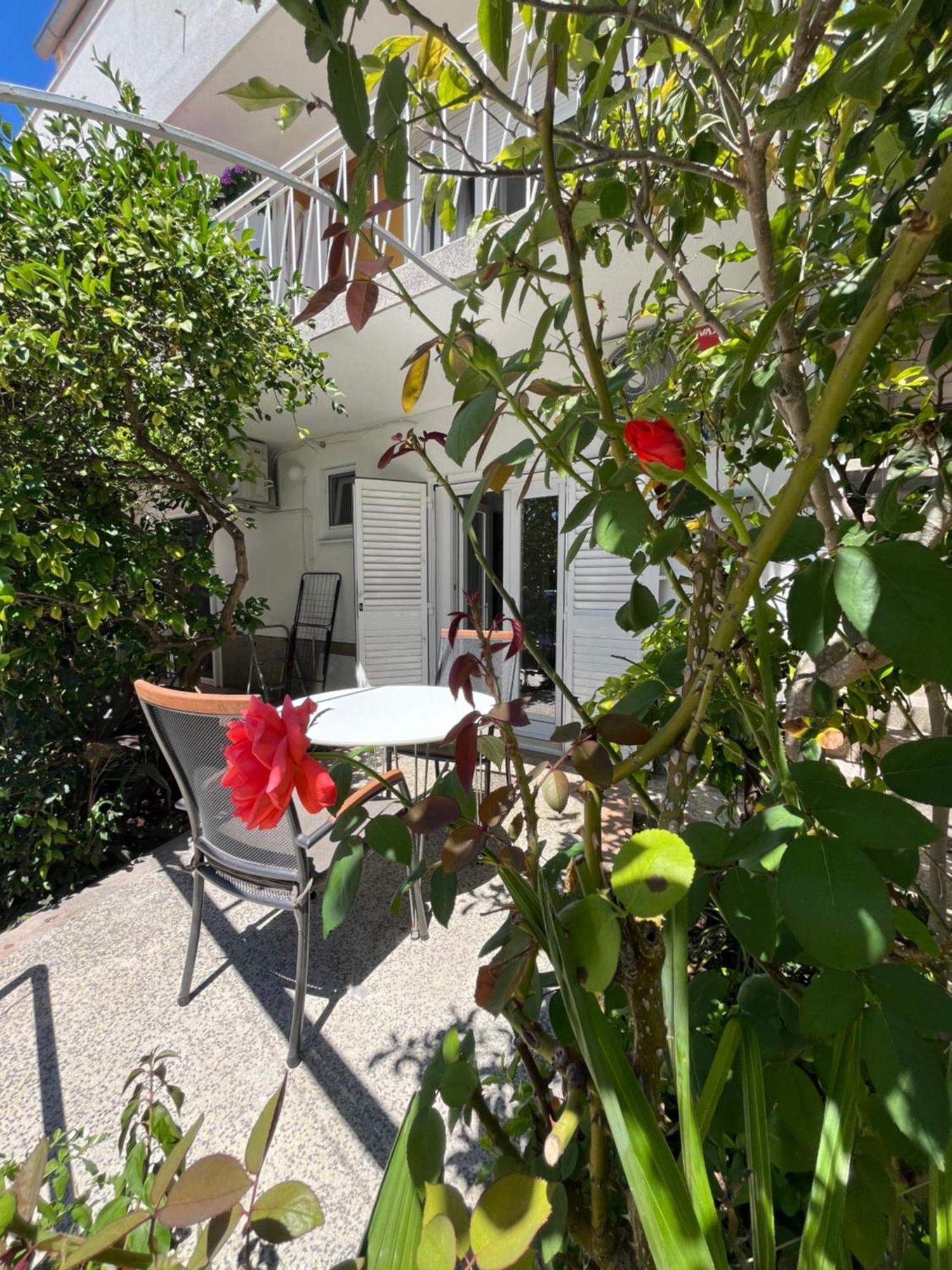 ザダルGreen Oasis For Two, 30 Meters From Seaアパートメント エクステリア 写真
